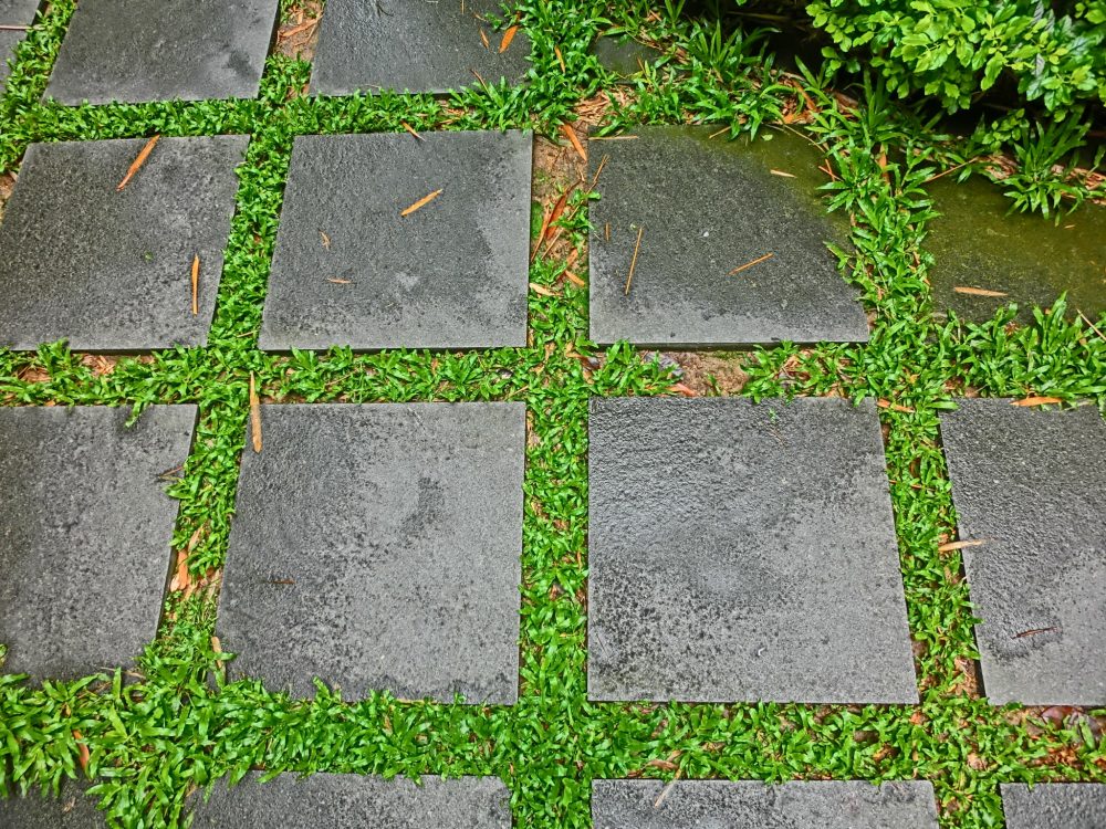tuin bestraten kosten