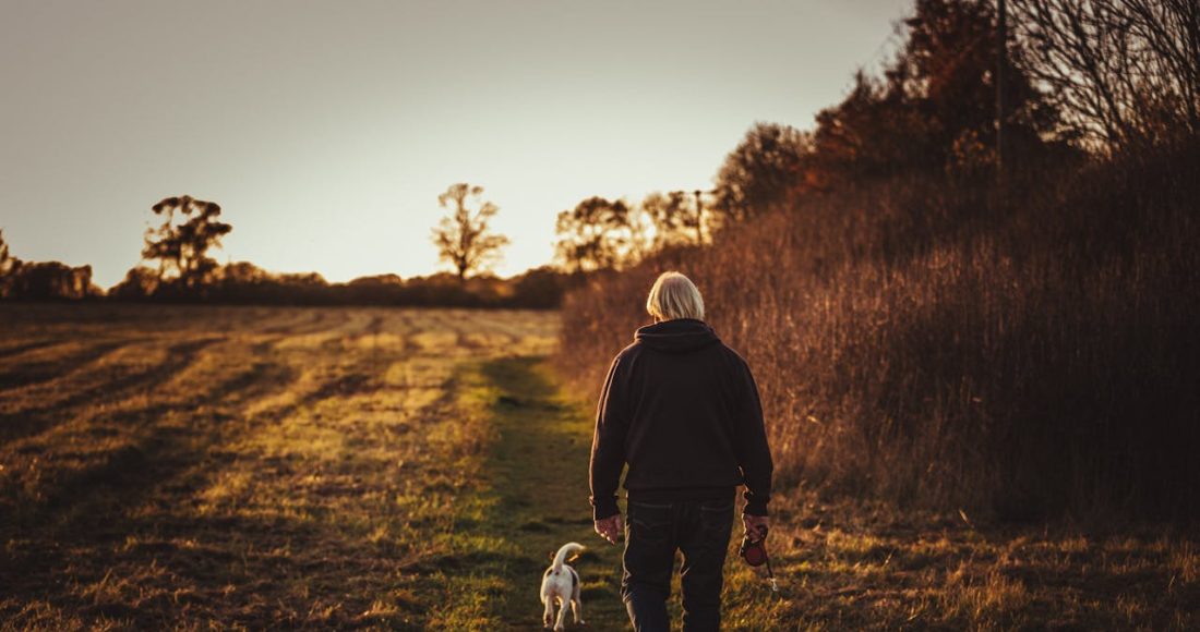 Lowa wandelschoenen: Betrouwbare kwaliteit voor elke wandeling