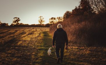 Lowa wandelschoenen: Betrouwbare kwaliteit voor elke wandeling