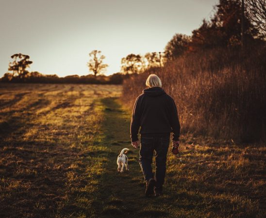 Lowa wandelschoenen: Betrouwbare kwaliteit voor elke wandeling